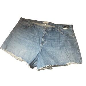 Abercrombie & Fitch The Dad Short High Rise Curve Love Size 24 NWT